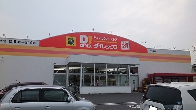 その他　ダイレックス（その他）まで700m