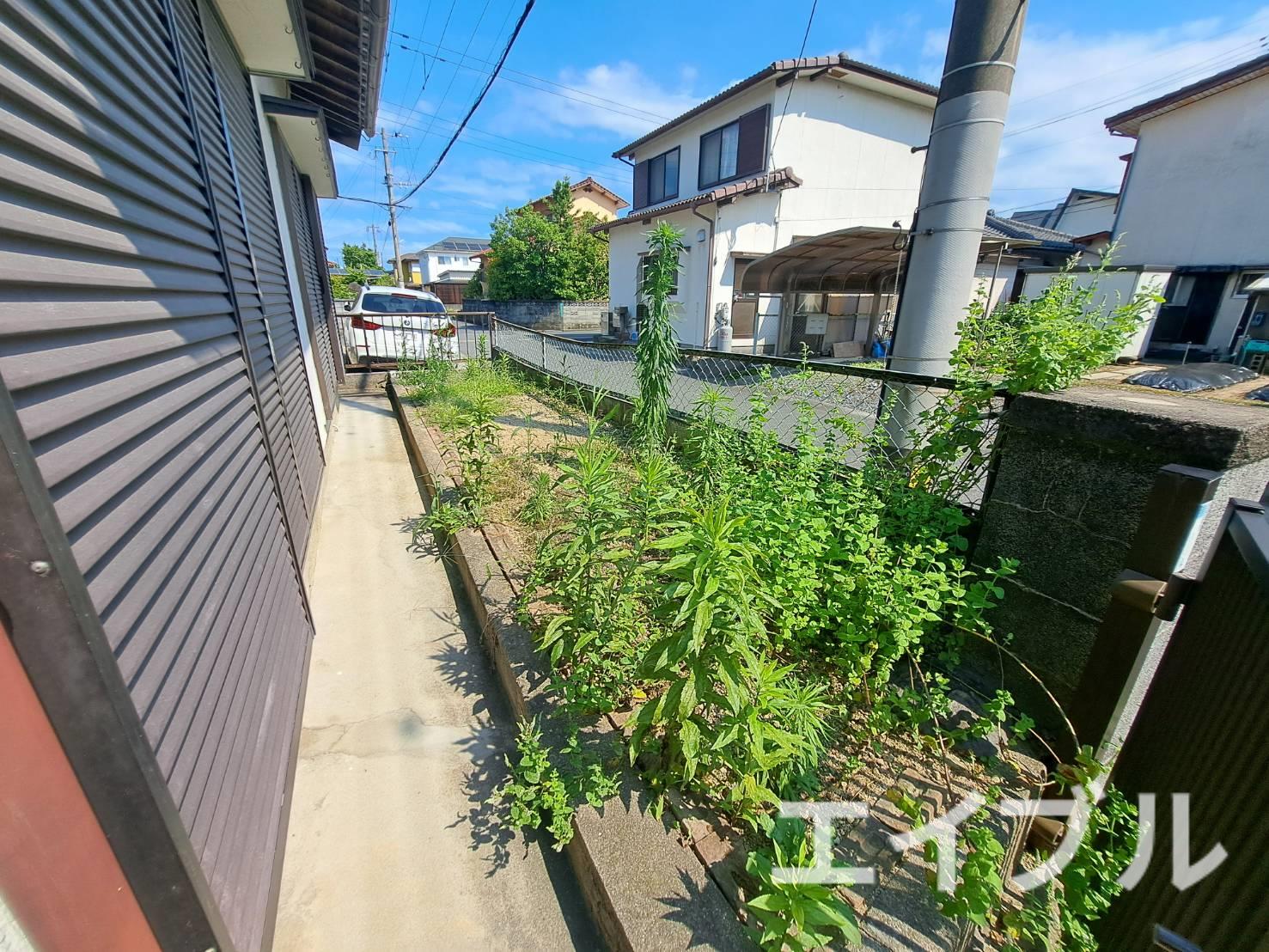 庭