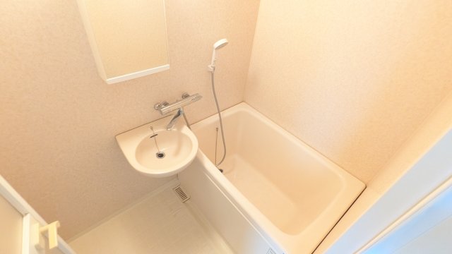 バス・シャワールーム　同じタイプのお部屋です