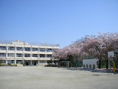 【世田谷区玉堤のマンションの小学校】