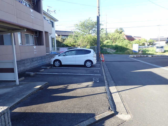 【サウスリバー大安の駐車場】