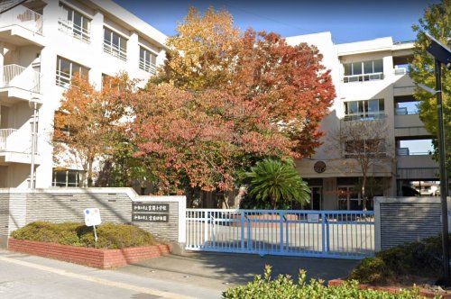 小学校　和歌山市立宮前小学校（小学校）まで247m