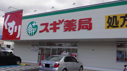 ドラックストア　スギドラッグ 針崎店（ドラッグストア）まで862m