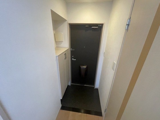 玄関　※別部屋の写真です