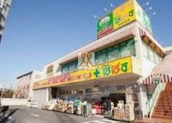 ドラックストア　どらっぐぱぱす熊野前店（ドラッグストア）まで540m
