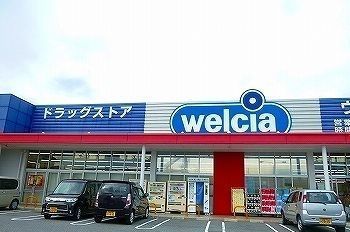 ドラックストア　ウエルシア　姫路網干店（ドラッグストア）まで1400m