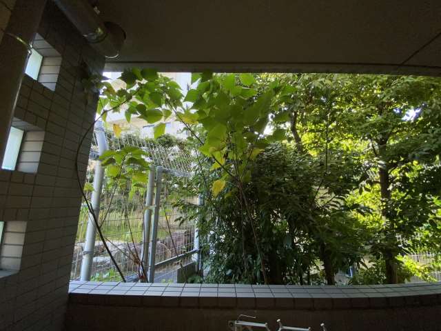 眺望　その他共有部分