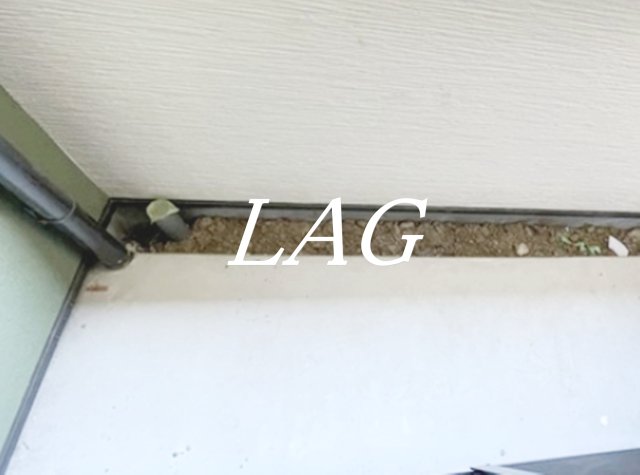 バルコニー　バルコニーです。