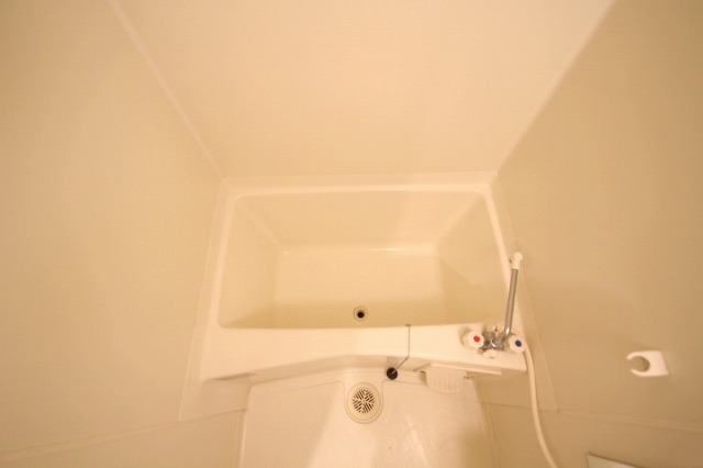 バス・シャワールーム　同物件、別号室のものです。