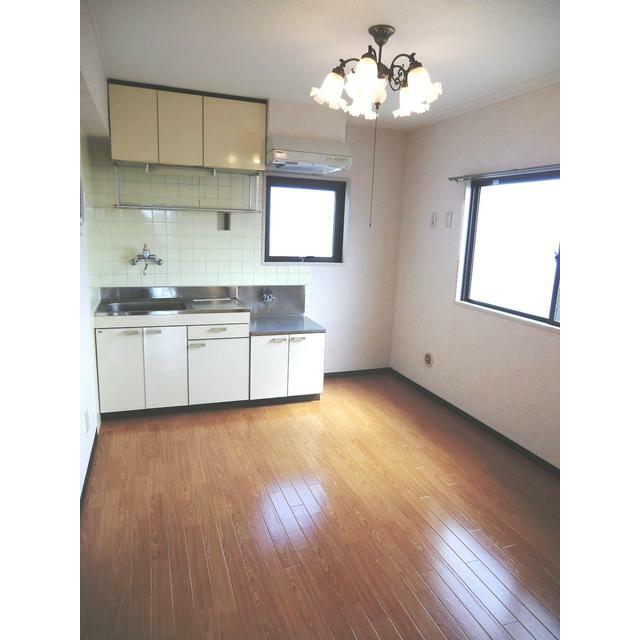 居室・リビング　現状有姿（別部屋写真）