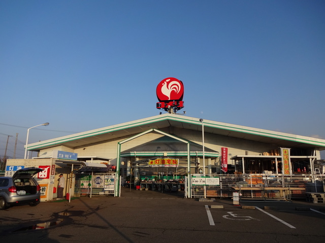 ホームセンター　コメリハード＆グリーン小池店（ホームセンター）まで1671m
