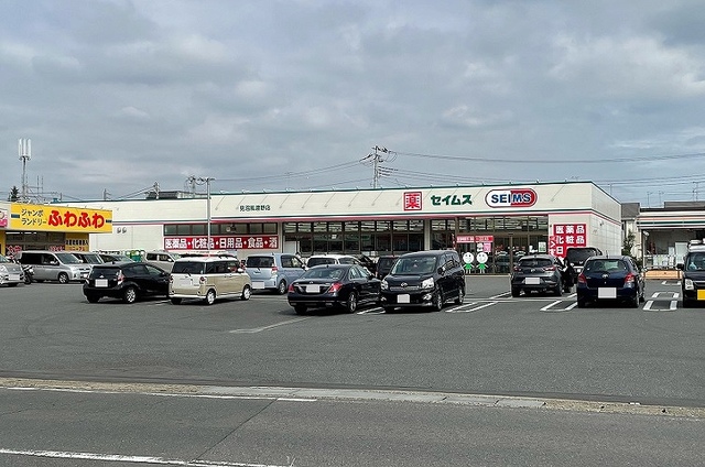 ドラックストア　ドラッグセイムス　見沼風渡野店（ドラッグストア）まで700m