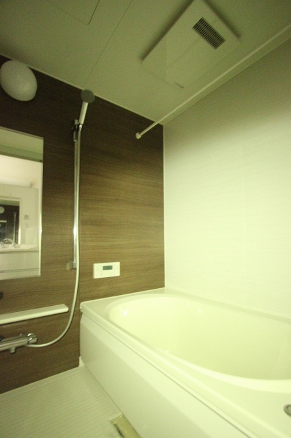 バス・シャワールーム　同物件、別号室のものです。