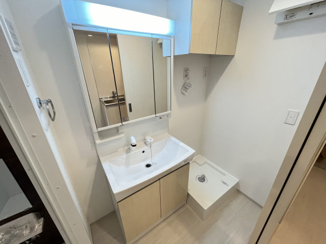 洗面設備　２０１号の内観写真になります