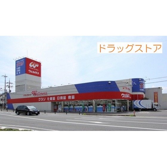 ドラックストア　ドラッグストアウェルネス米原店（ドラッグストア）まで741m