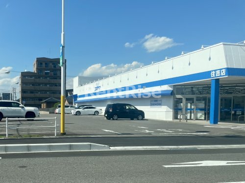 ドラックストア　ドラッグスギヤマ 住吉店（ドラッグストア）まで167m