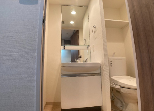 洗面設備　独立洗面化粧台が付いています