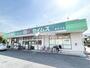 ドラックストア　ドラッグセイムス東所沢店（ドラッグストア）まで1100m
