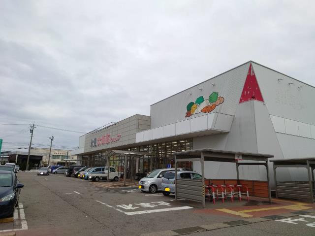 スーパー　大阪屋ショップ氷見店（スーパー）まで887m