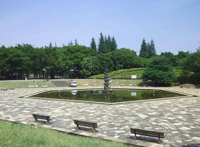 公園　世田谷公園（公園）まで1142m