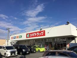 ドラックストア　スギドラッグ 土屋店（ドラッグストア）まで1960m