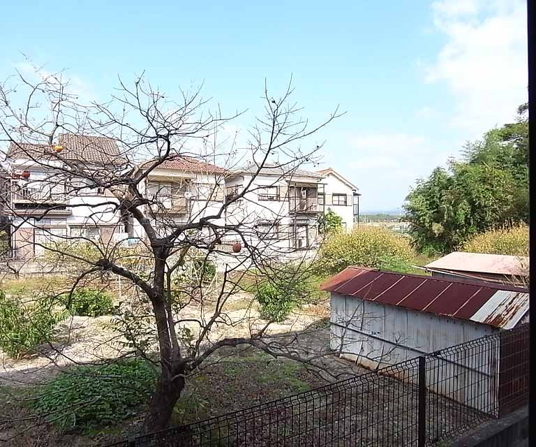 眺望　建物の裏は開放的。