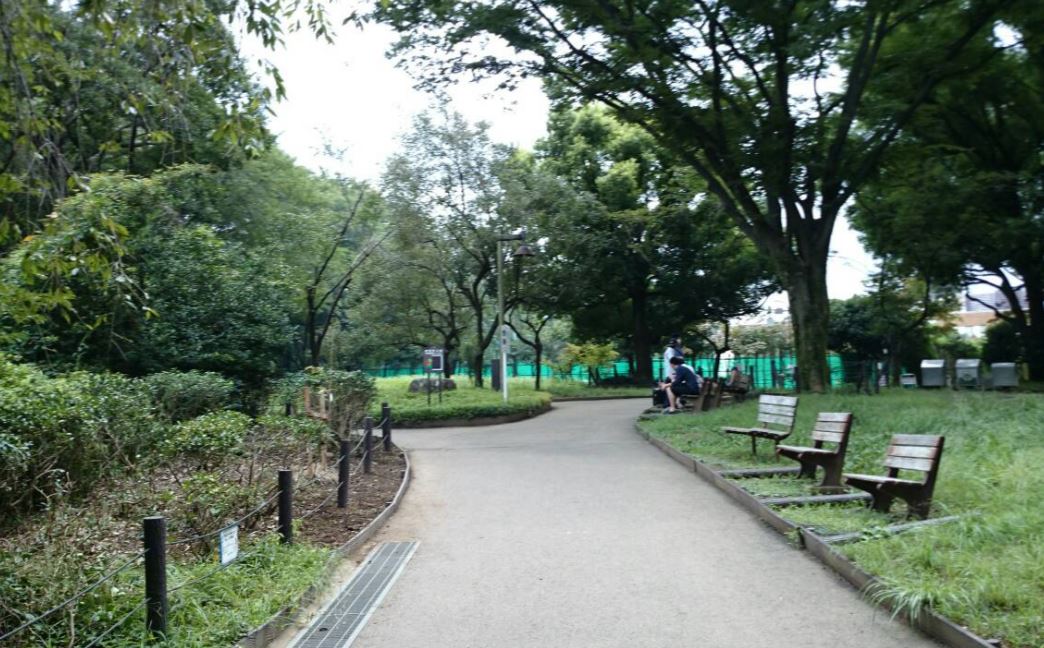 公園　駒場野公園（公園）まで924m
