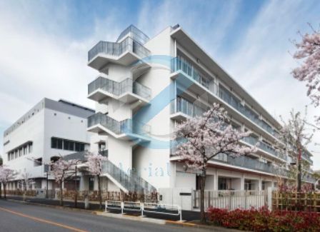 小学校　江戸川区立春江小学校（小学校）まで540m