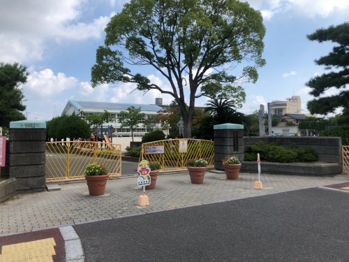 小学校　佐賀市立神野小学校（小学校）まで805m
