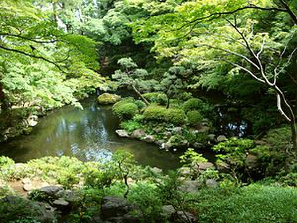 公園　殿ヶ谷戸庭園（公園）まで210m