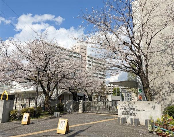 小学校　台場小学校（小学校）まで272m