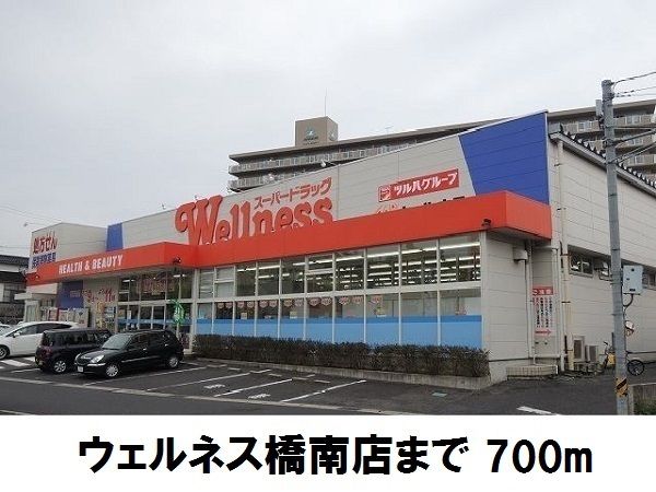 ドラックストア　ウェルネス橋南店（ドラッグストア）まで700m