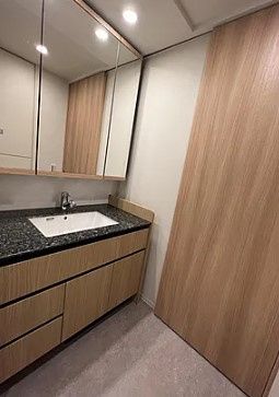 洗面設備　別タイプ部屋　参考写真です