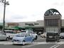 スーパー　しずてつストア掛川店（スーパー）まで347m