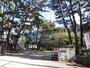 中学校　加古川市立浜の宮中学校（中学校）まで2301m