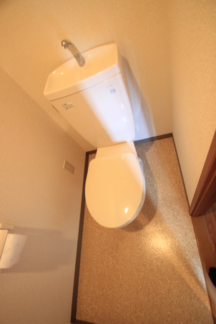 トイレ　写真は違う号室です。