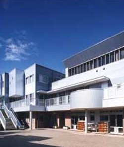 幼稚園・保育園　大島新生幼稚園（幼稚園・保育園）まで844m