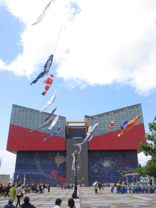 その他　海遊館（その他）まで624m