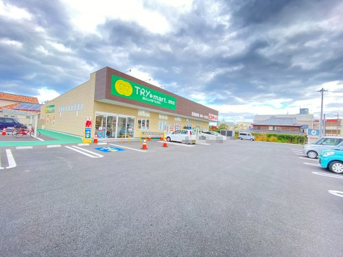 スーパー　ＴＲＹｍａｒｔ．宮町店（スーパー）まで391m