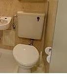 セザール武蔵新城のトイレ写真