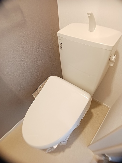 ＪＲ予讃線 宇多津駅 徒歩10分 2階建 築4年のトイレ写真