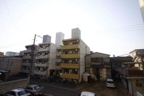 眺望　※別部屋の写真です