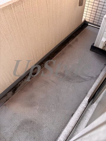 ザパームス新小岩の玄関写真