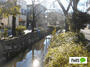 公園　八か村落し親水緑道（公園）まで203m