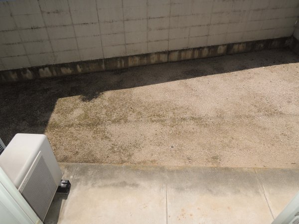 庭　写真はイメージです