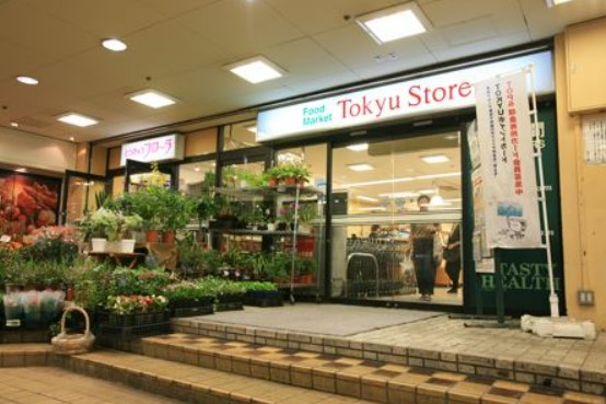 スーパー　菊名 東急ストア（スーパー）まで259m