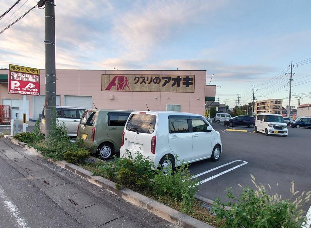 ドラックストア　クスリのアオキ 国済寺店（ドラッグストア）まで870m