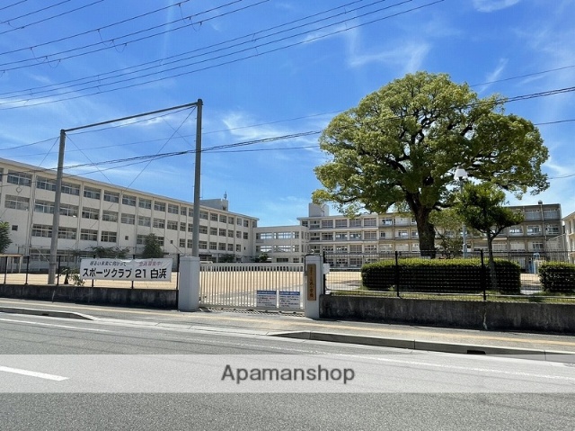 小学校　白浜小学校（小学校）まで354m