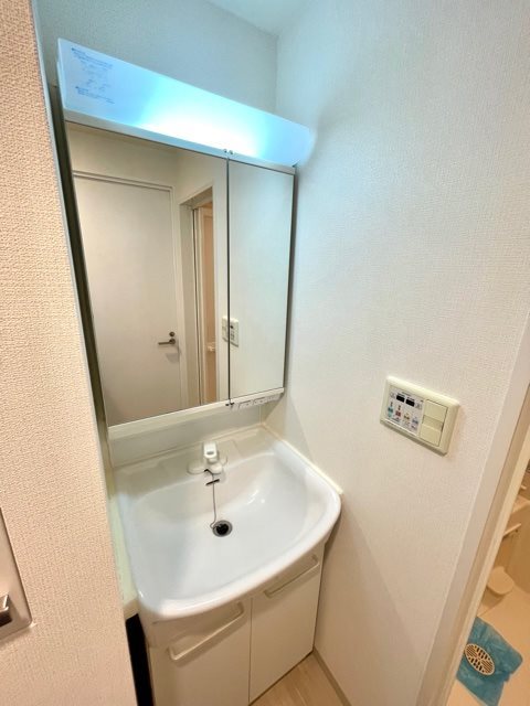 洗面設備　別部屋のお写真となります