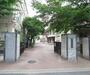中学校　加茂川中学校（中学校）まで1441m